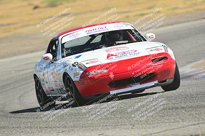 media/May-24-2025-Turn8 Trackdays (Sat) [[034586b55d]]/1 Advanced 2/Session 2 (Cotton Corners-Grapevine)/